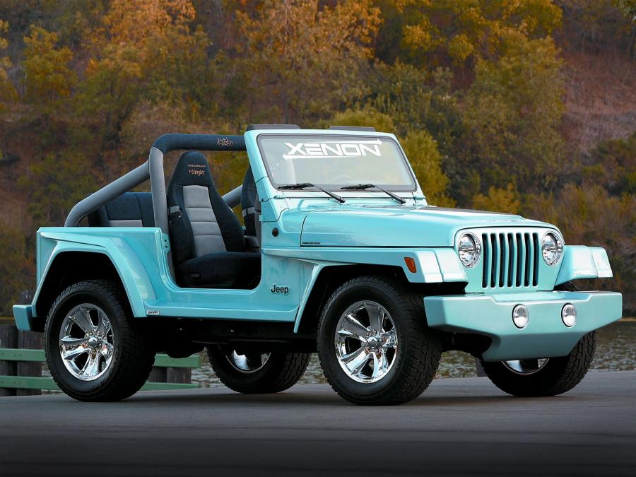  Jeep Wrangler WW by Xenon 1997 года  (фото 3 из 7)